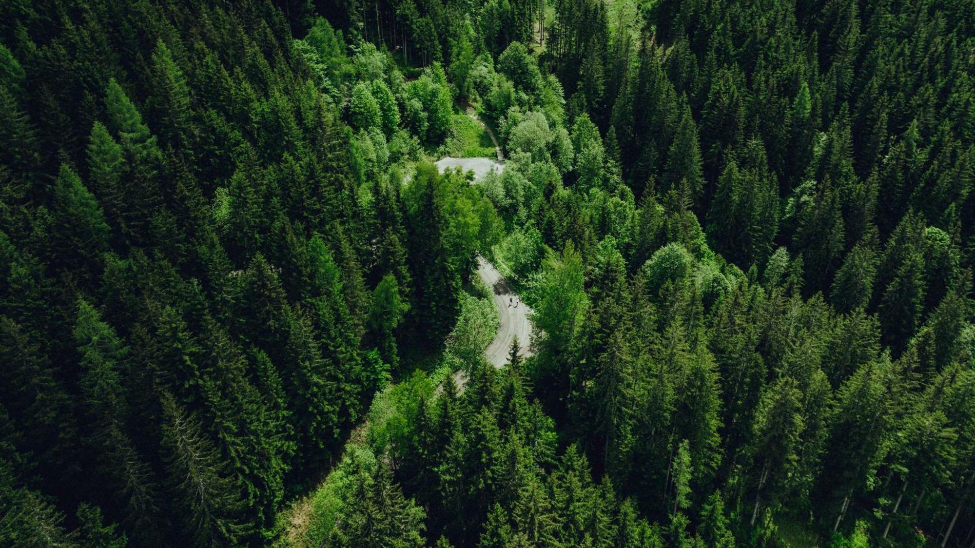 Holzhotel Forsthofalm Leogang Luaran gambar